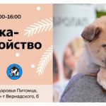 Приглашаем на выставку-пристройство котят и щенков в Москве и Санкт-Петербурге! (18+)