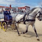 Открытие летнего сезона Центра национальных конных традиций на ВДНХ (6+)